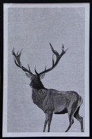 LJ180137-B Picture Frame Gold Stamp 60x90