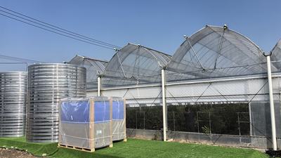 Saudi Arabia 40 hectare greenhouse