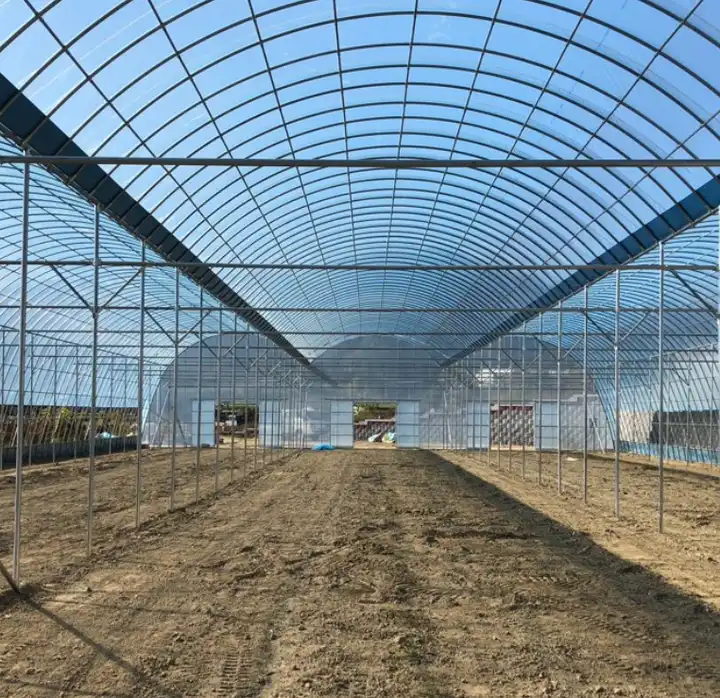 Multi-span greenhouse 连栋温室